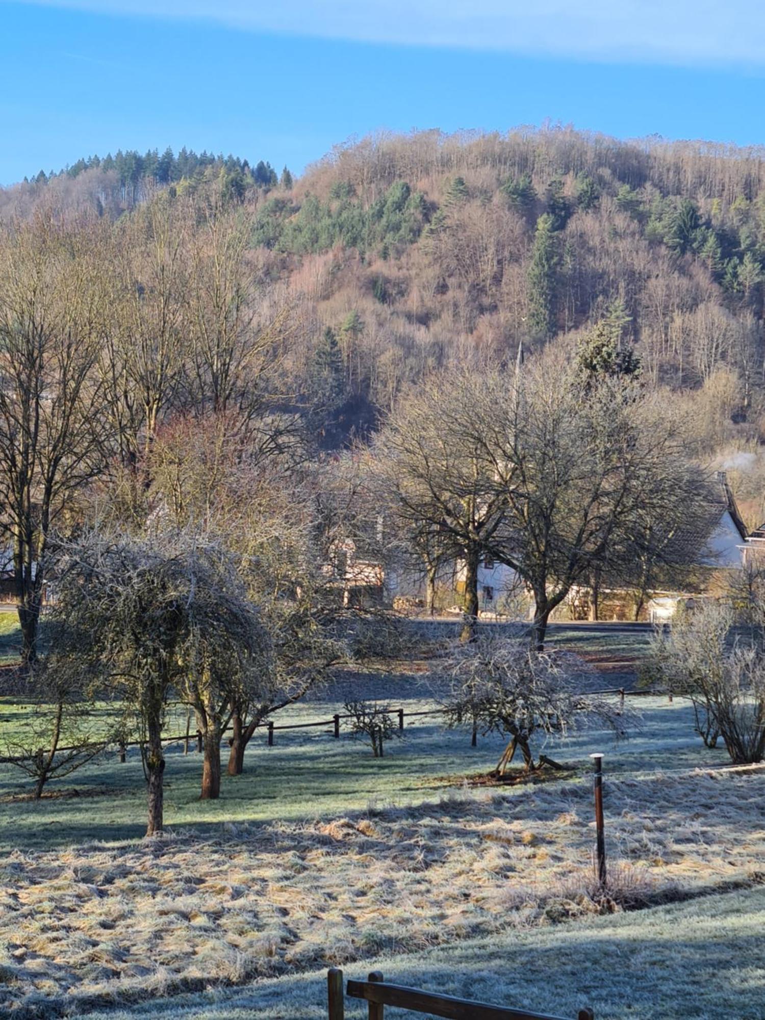 Ferienwohnung Burgblick Pelm Exterior photo